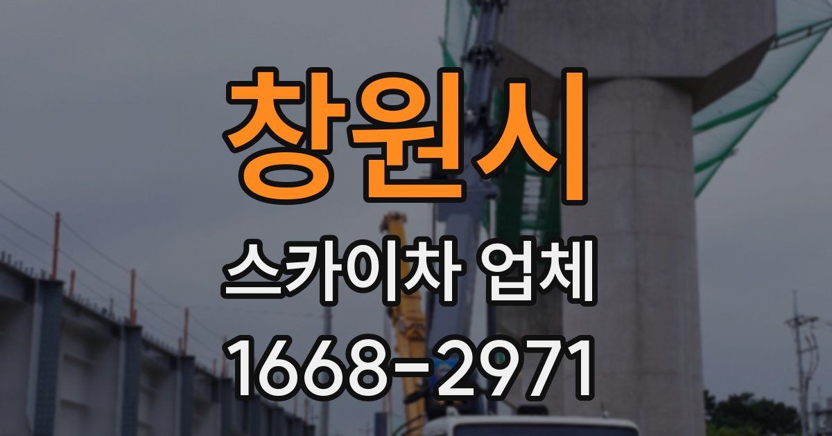 창원시 스카이차 업체