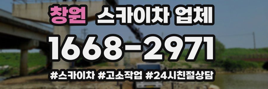 창원 스카이차 업체