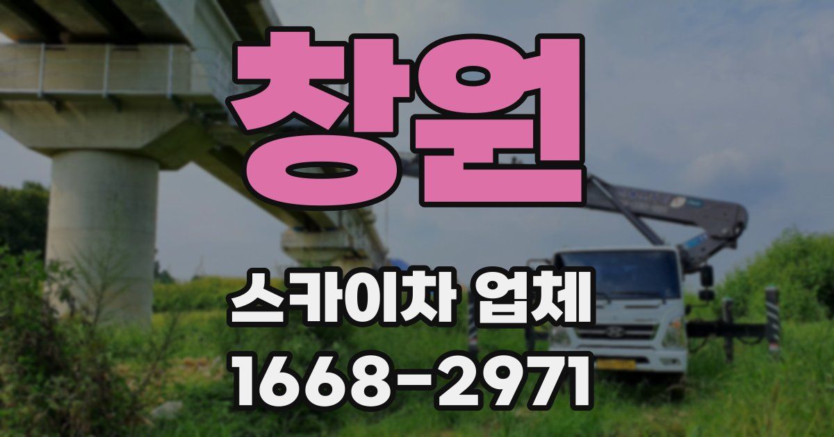 창원 스카이차 업체