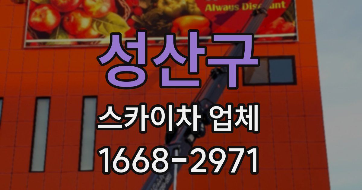 성산구 스카이차 업체
