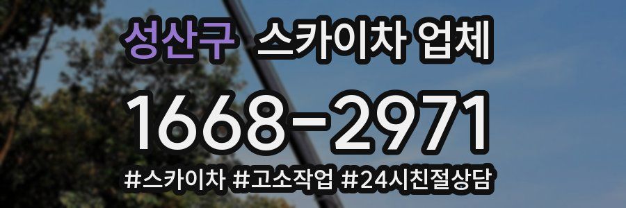 성산구 스카이차 업체