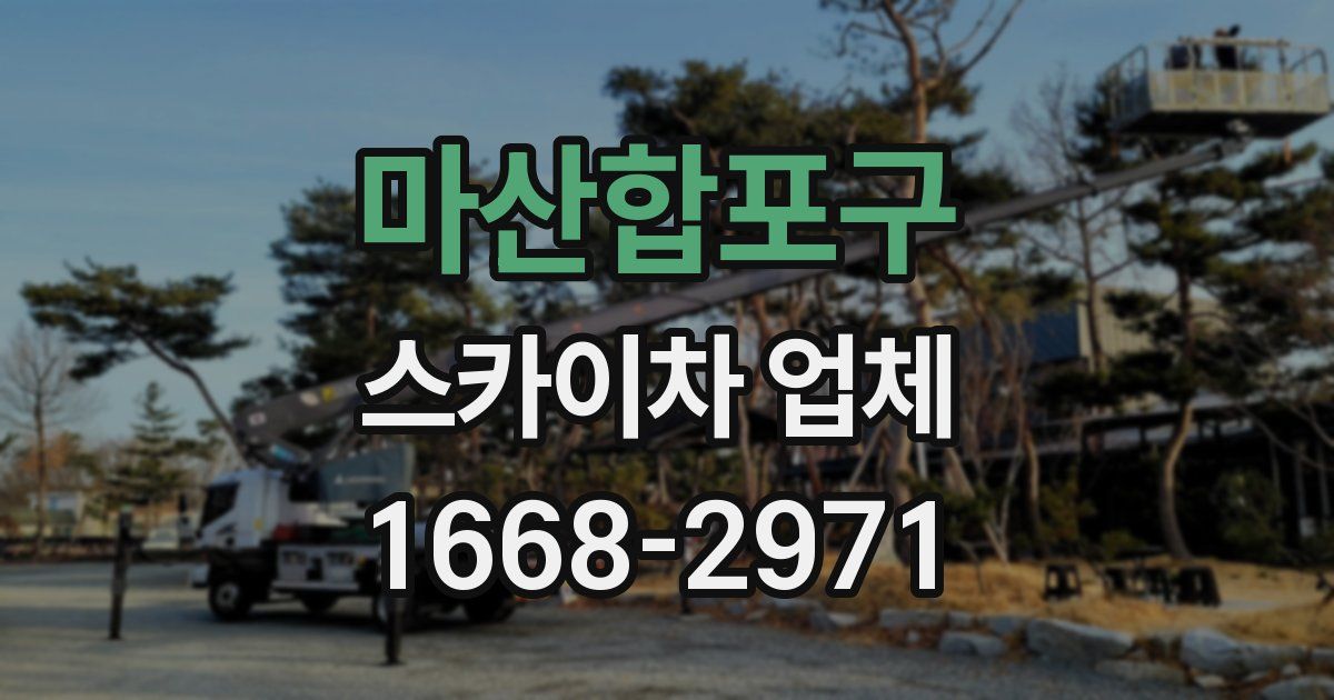 마산합포구 스카이차 업체