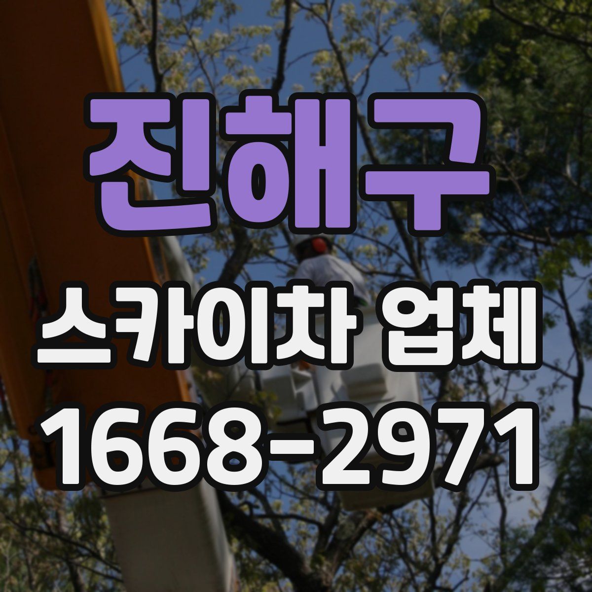 진해구 스카이차 업체