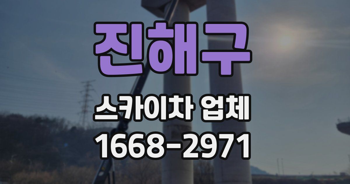 진해구 스카이차 업체