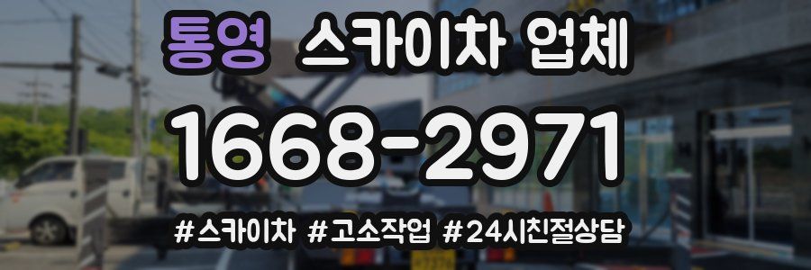 통영 스카이차 업체