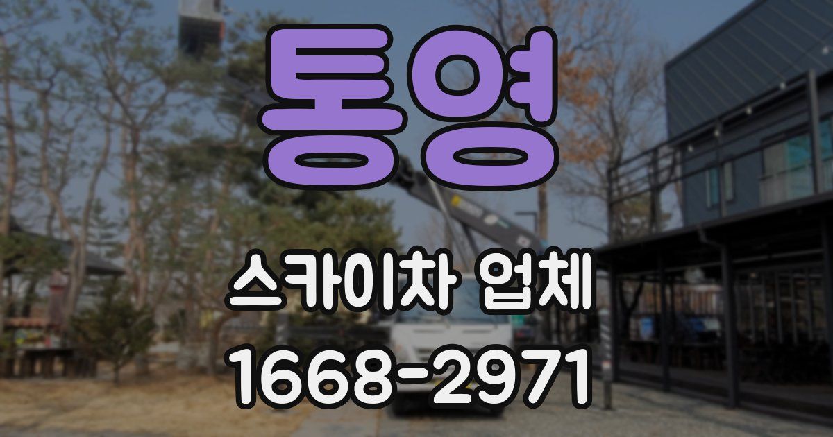통영 스카이차 업체