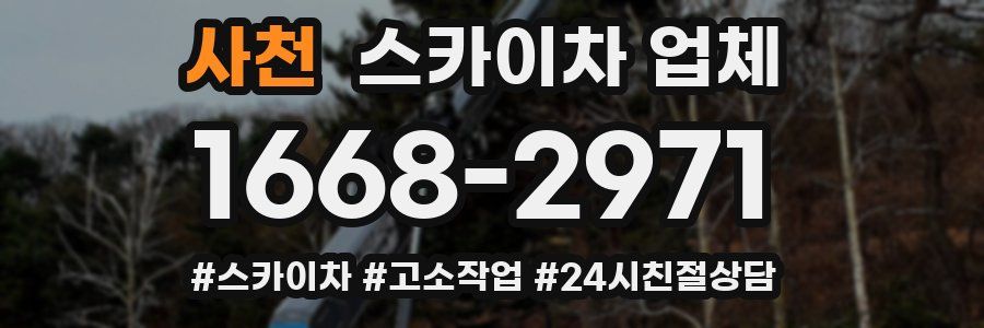 사천 스카이차 업체