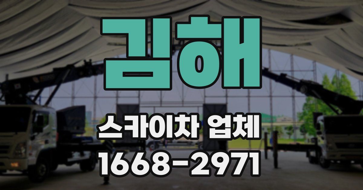 김해 스카이차 업체