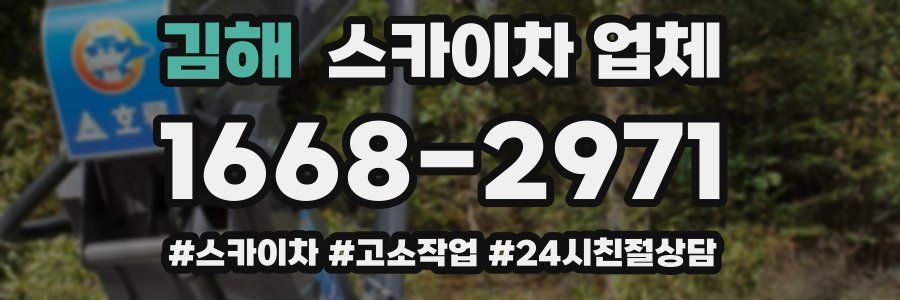 김해 스카이차 업체