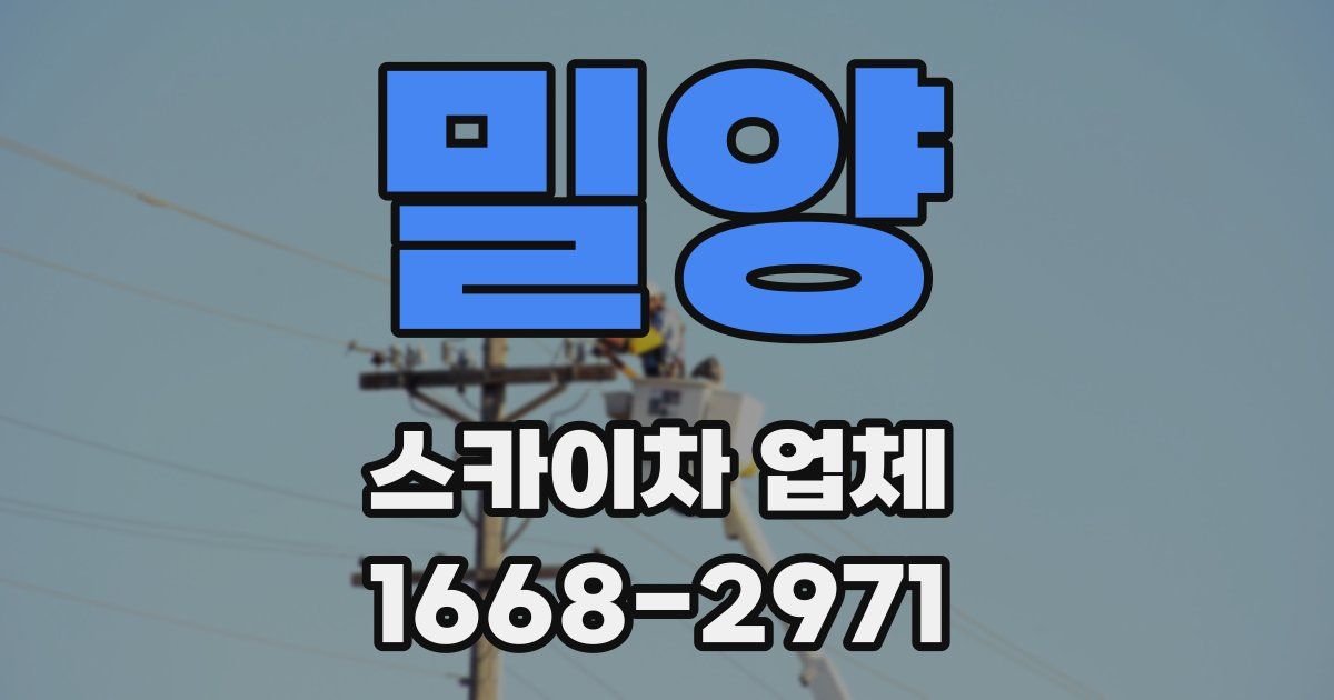 밀양 스카이차 업체