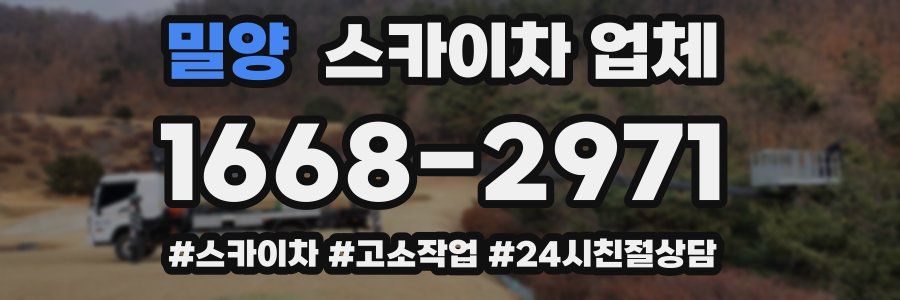밀양 스카이차 업체