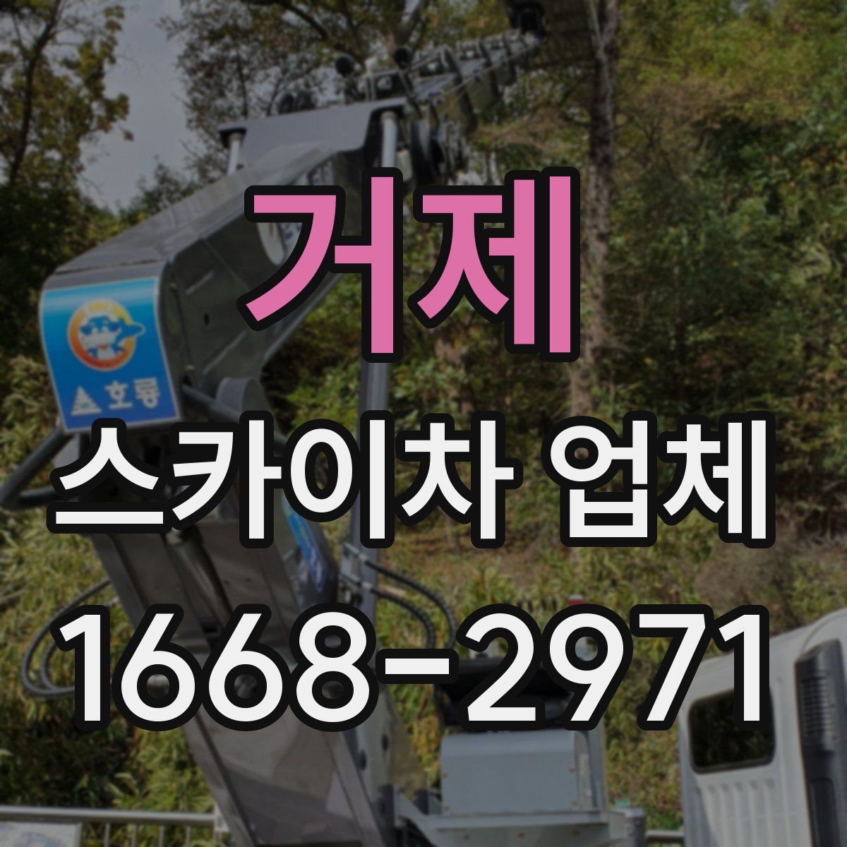 거제 스카이차 업체