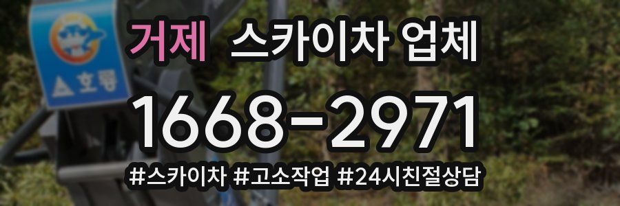 거제 스카이차 업체