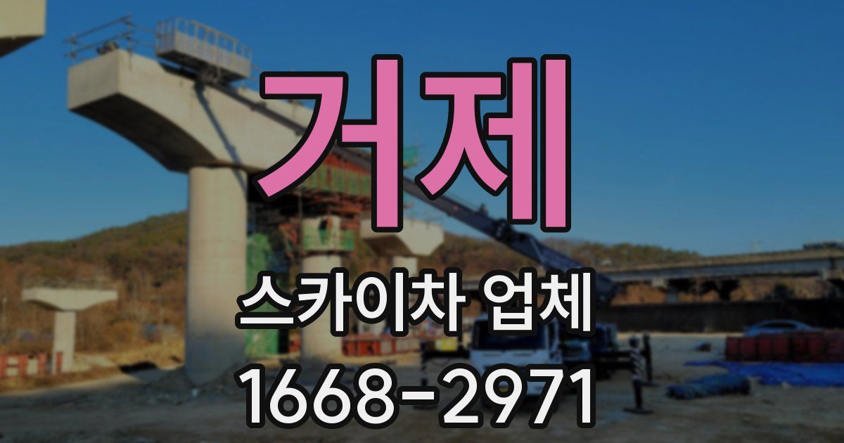 거제 스카이차 업체
