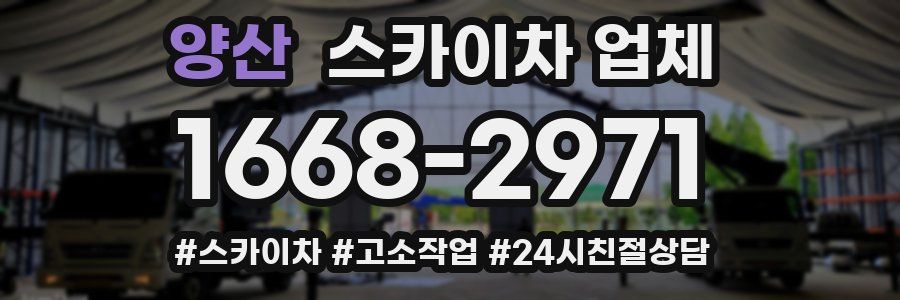 양산 스카이차 업체