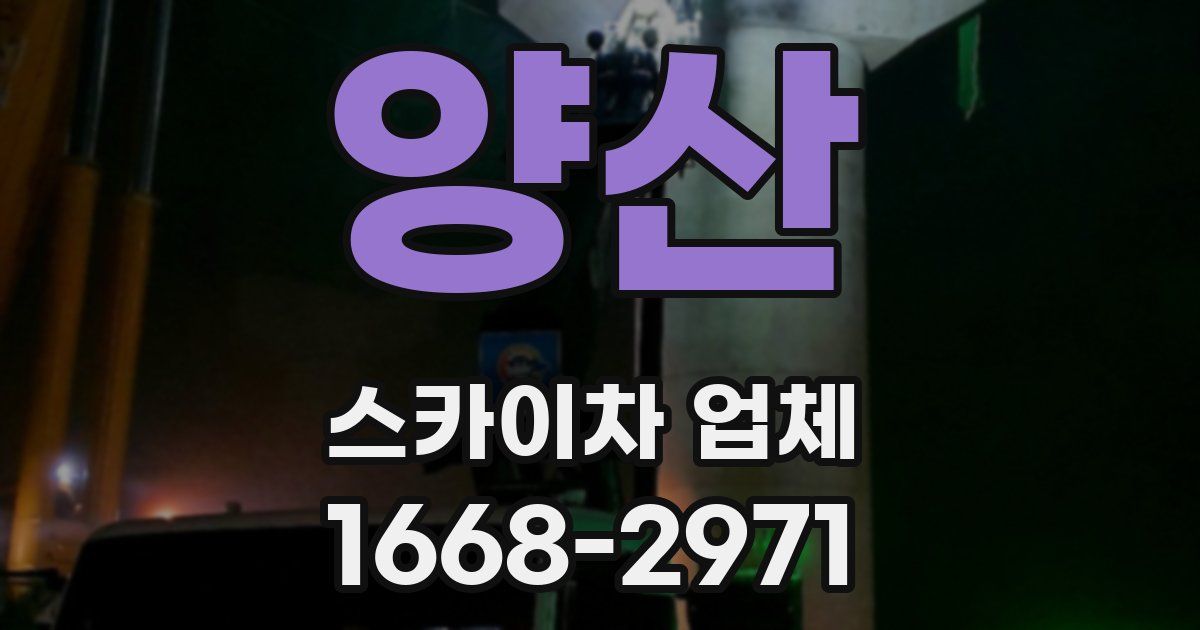 양산 스카이차 업체