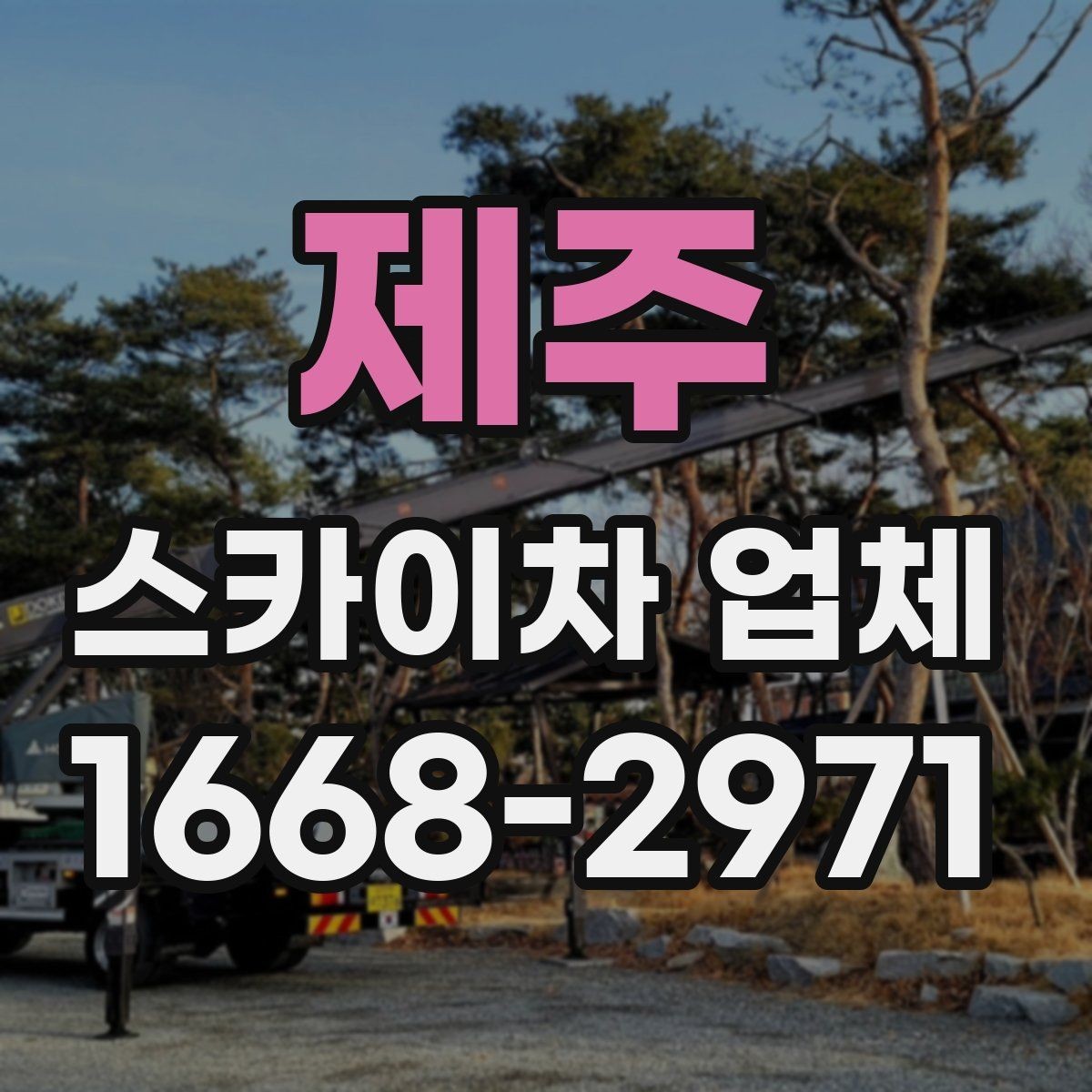 제주 스카이차 업체 이용이 많은 건물 유형과 작업 목적