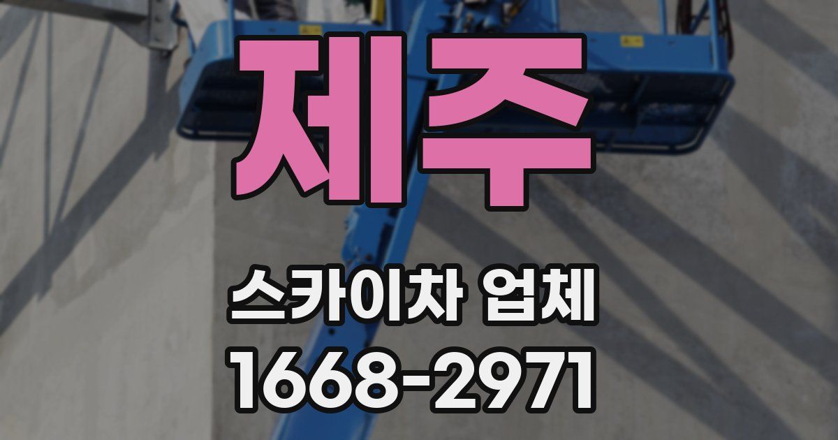 제주 스카이차 업체