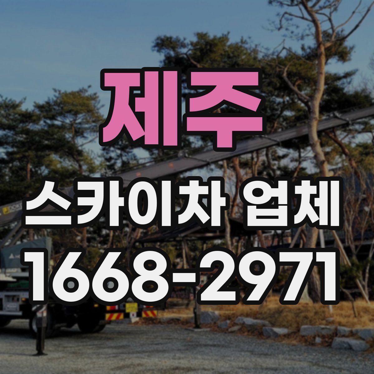 제주 스카이차 업체