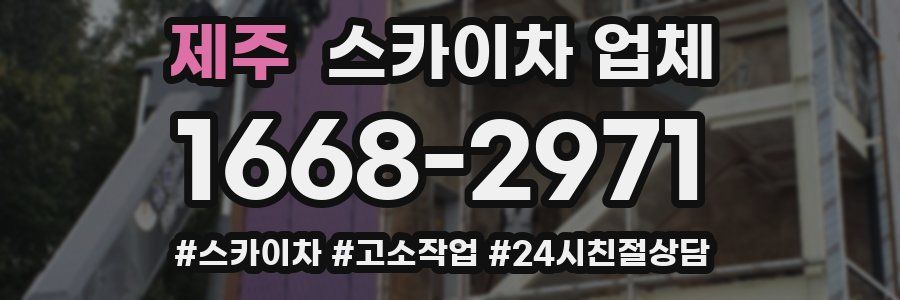 제주 스카이차 업체