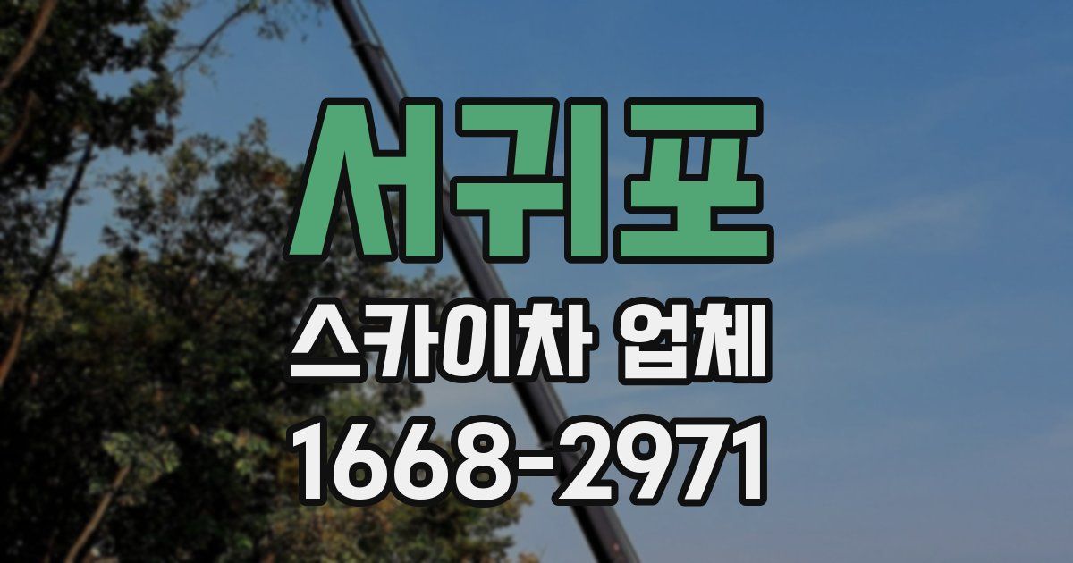 서귀포 스카이차 업체