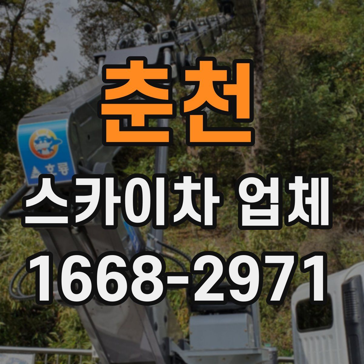 춘천 스카이차 업체
