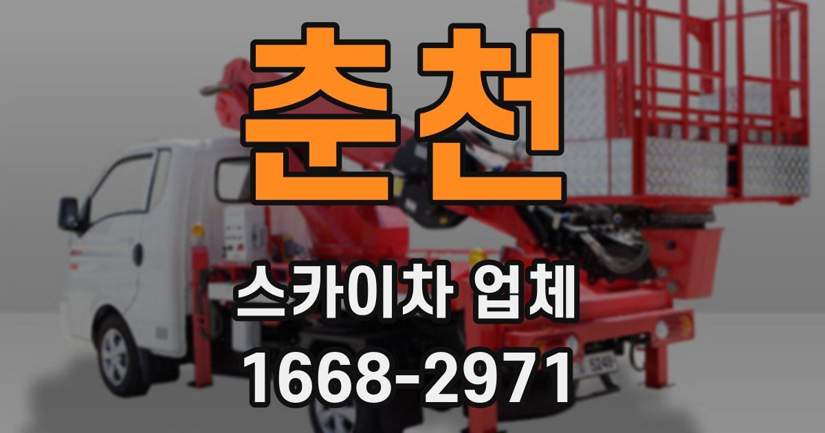 춘천 스카이차 업체