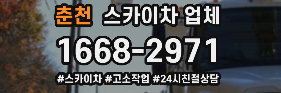 춘천 스카이차 업체