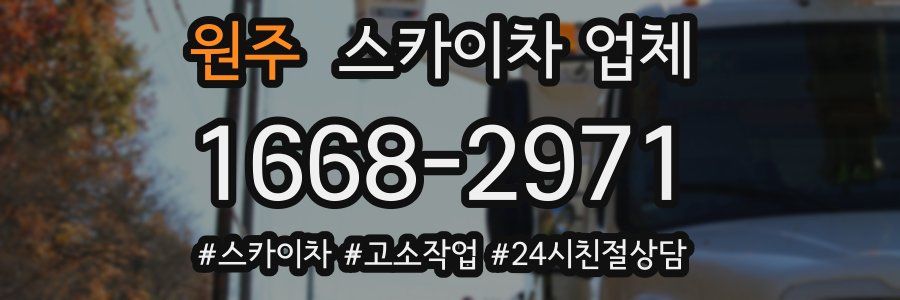 원주 스카이차 업체