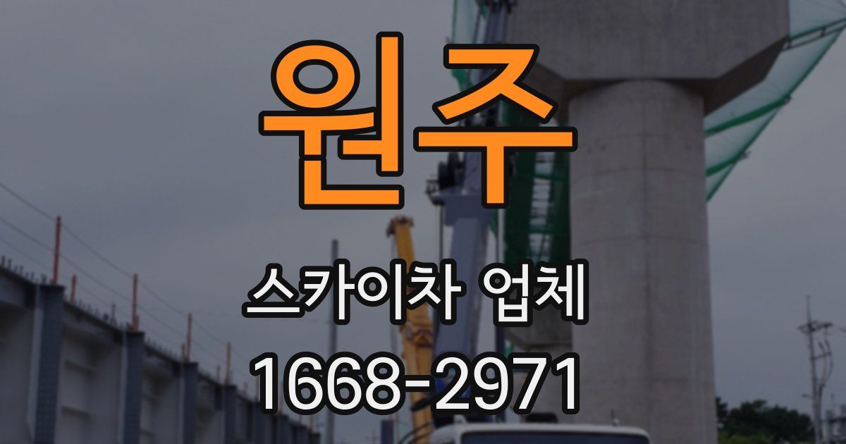원주 스카이차 업체