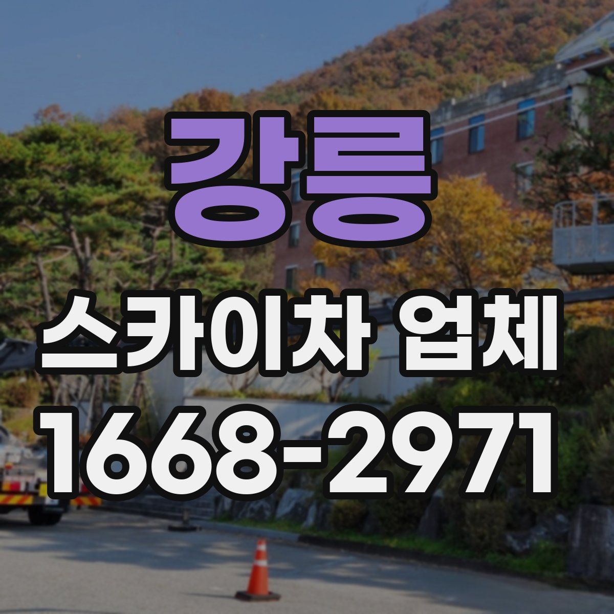 강릉 스카이차 업체