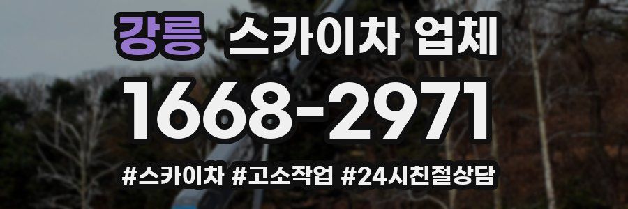 강릉 스카이차 업체