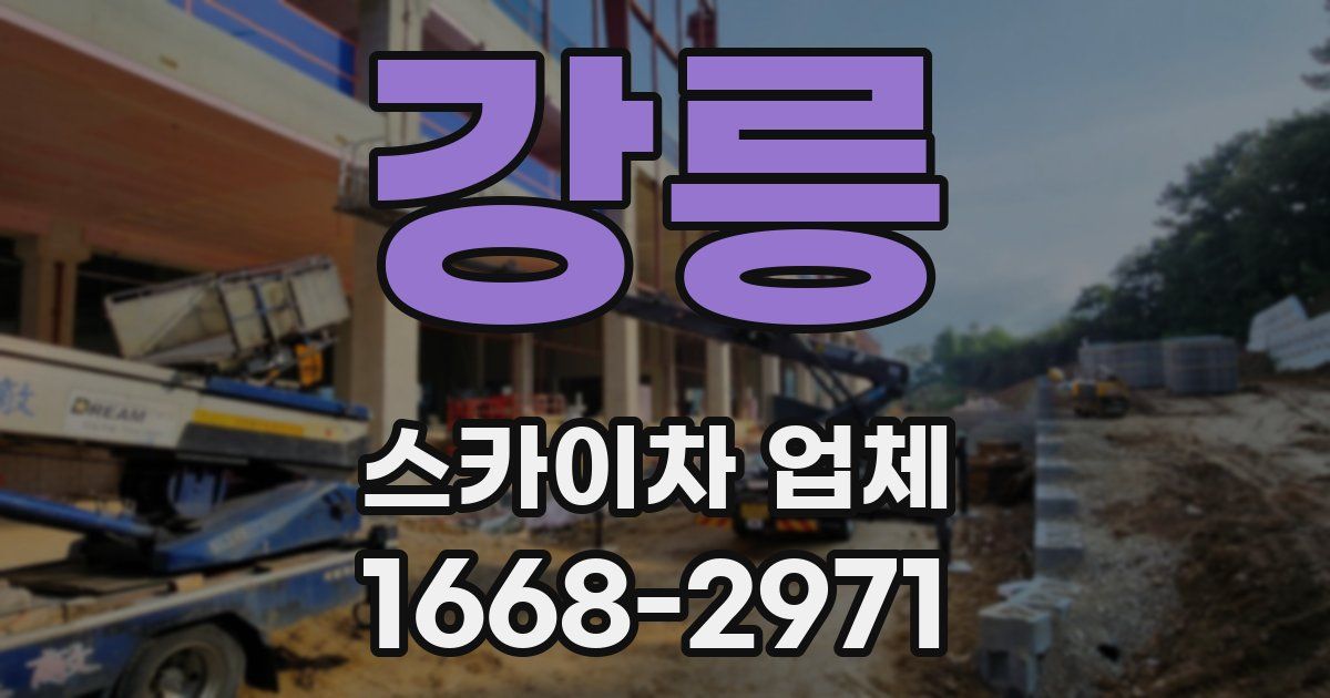강릉 스카이차 업체