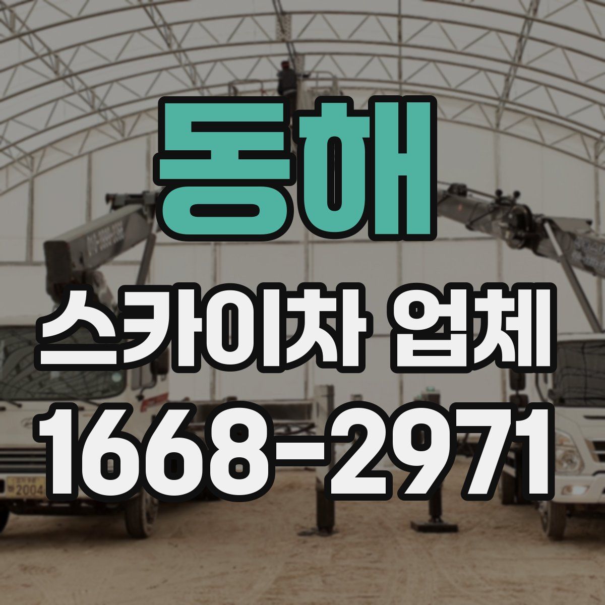 동해 스카이차 업체