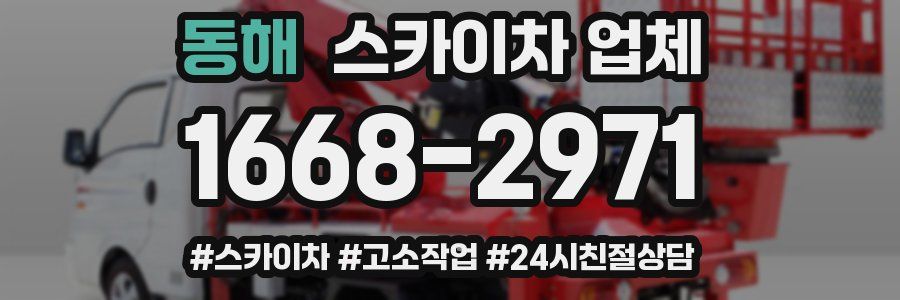 동해 스카이차 업체