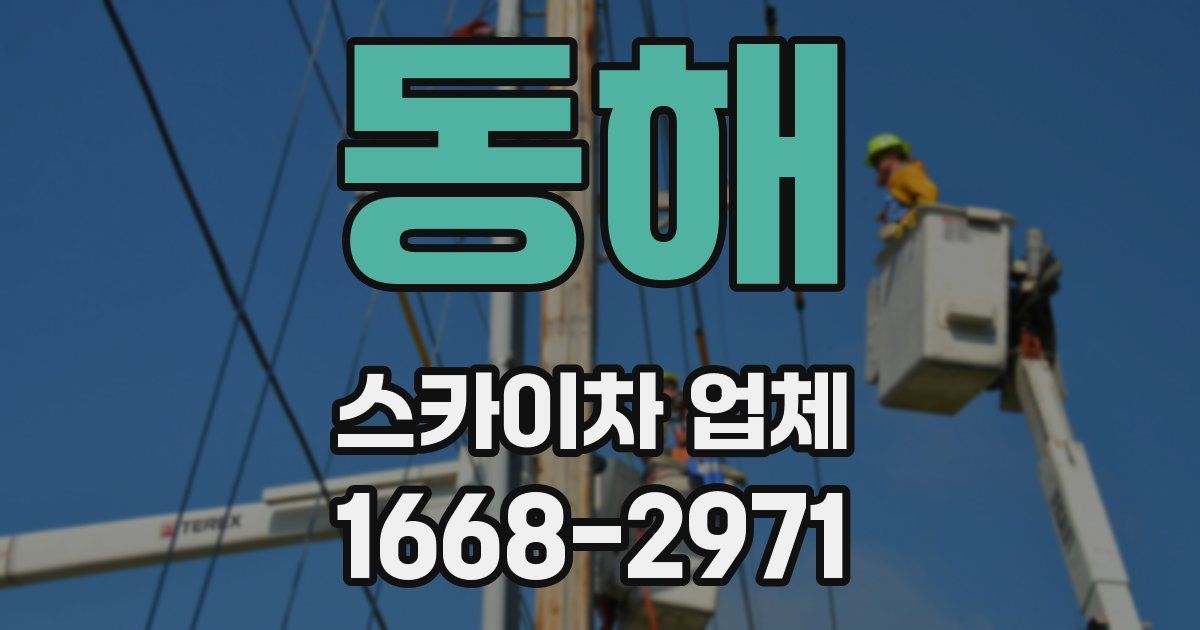 동해 스카이차 업체