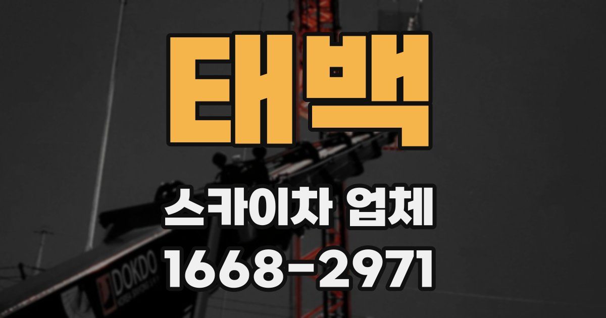 태백 스카이차 업체