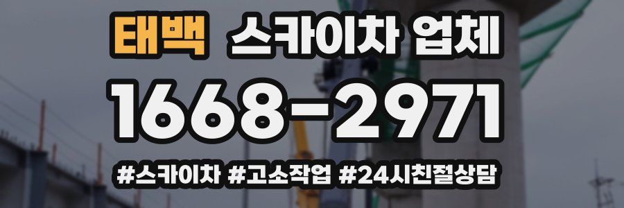 태백 스카이차 업체