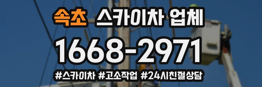 속초 스카이차 업체