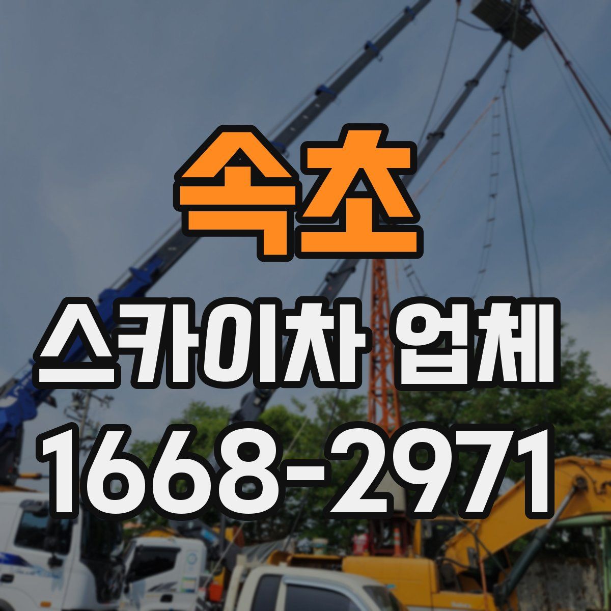 속초 스카이차 업체