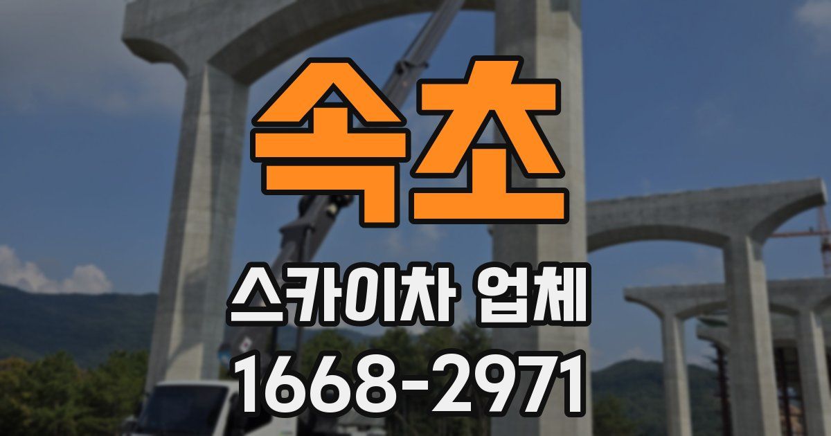 속초 스카이차 업체