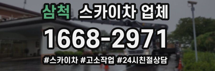 삼척 스카이차 업체