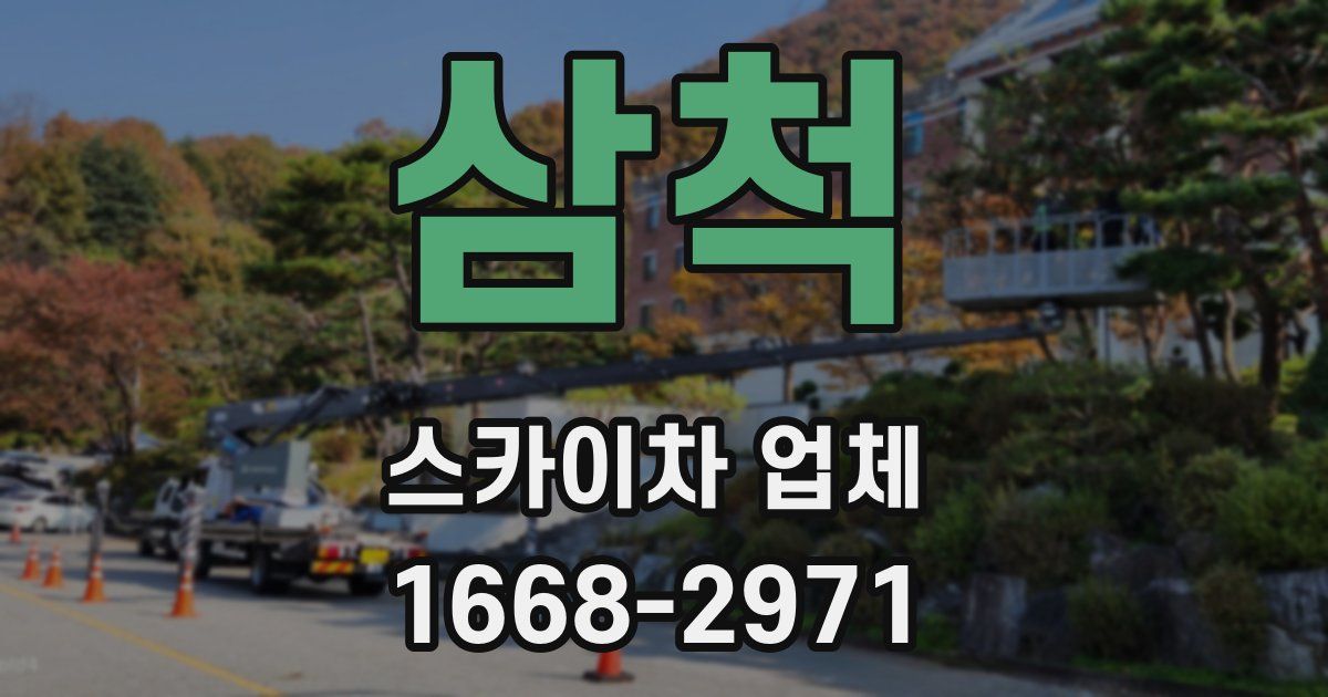 삼척 스카이차 업체