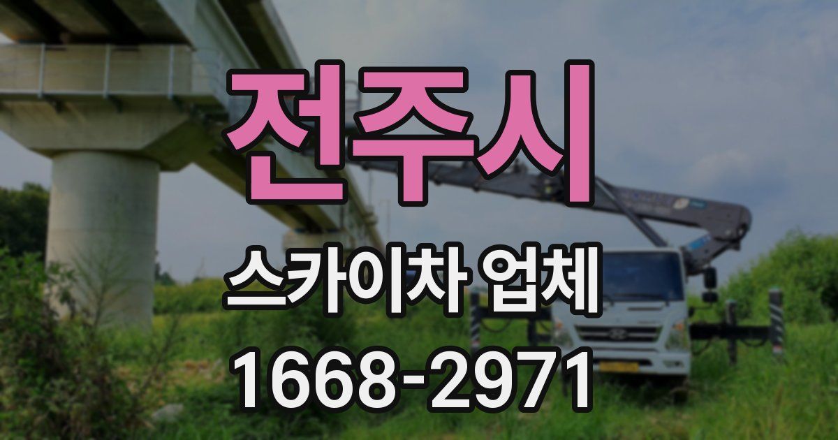 전주시 스카이차 업체
