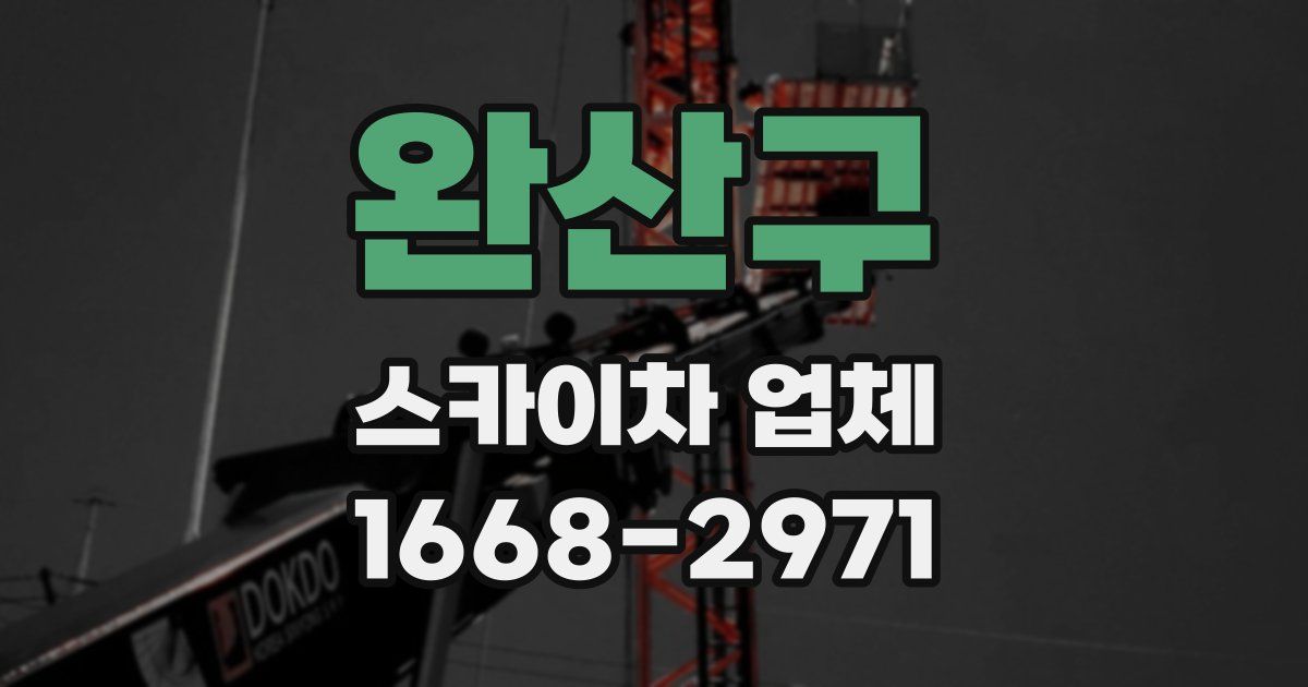 완산구 스카이차 업체