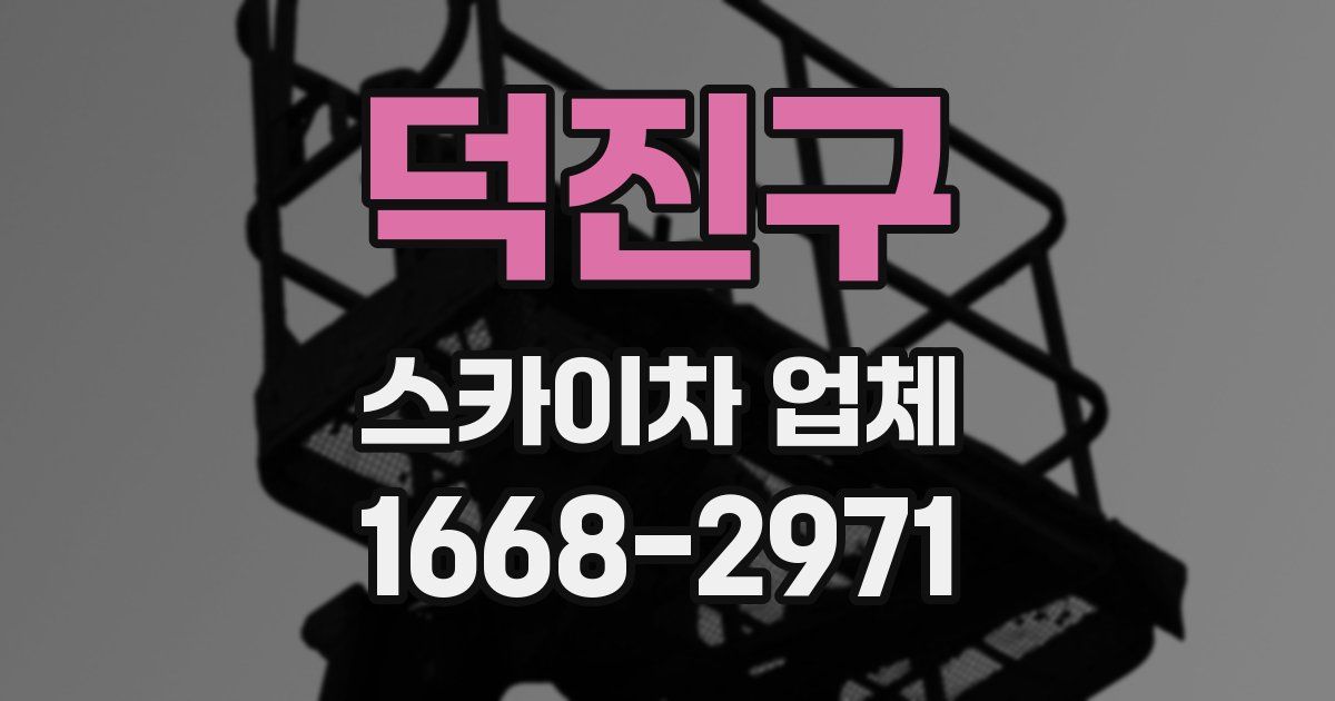 덕진구 스카이차 업체