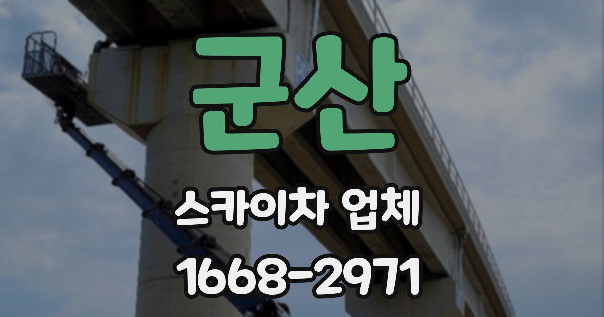 군산 스카이차 업체