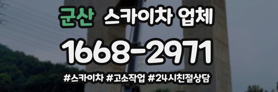군산 스카이차 업체