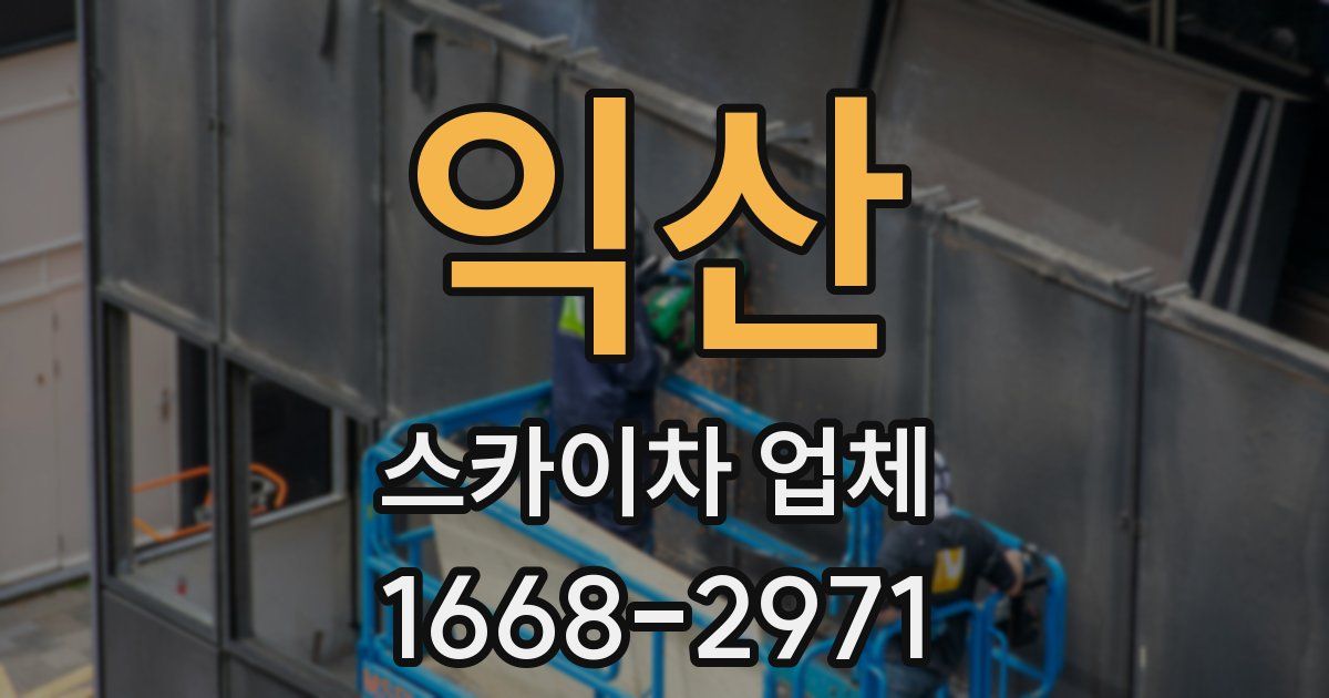 익산 스카이차 업체