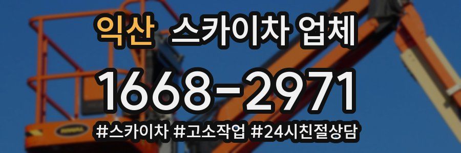 익산 스카이차 업체